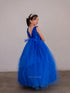Girls Multi Color A-Line Flowered Waist Tulle Flower Girl Dress 2-16